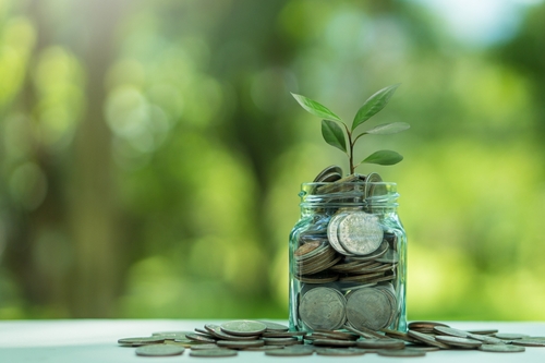 Equity Savings Schemes - What are Equity Savings Funds? A Comprehensive Guide from Nivesh